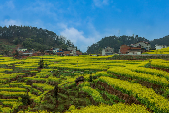 美丽新农村