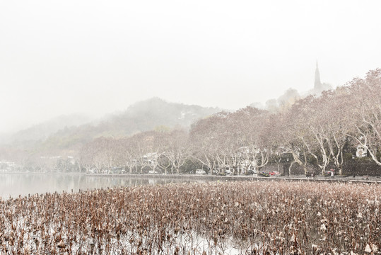 杭州西湖雪景冬景