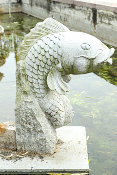 鲤鱼喷泉