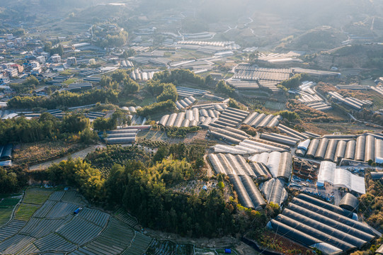 中国乡村鲜花种植大棚航拍景观