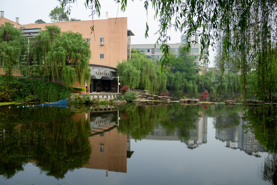 重庆大学民主湖