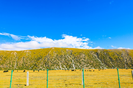 川西旅游