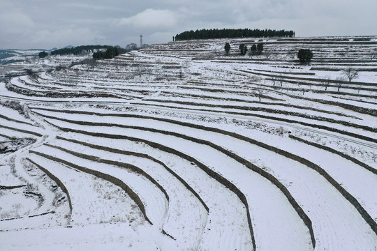 山乡梯田雪景美