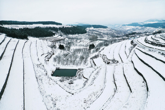 山乡梯田雪景美