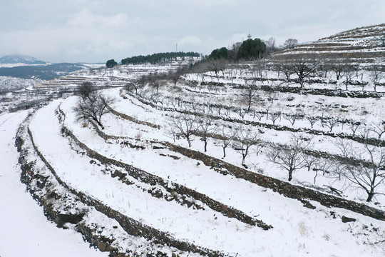 山乡梯田雪景