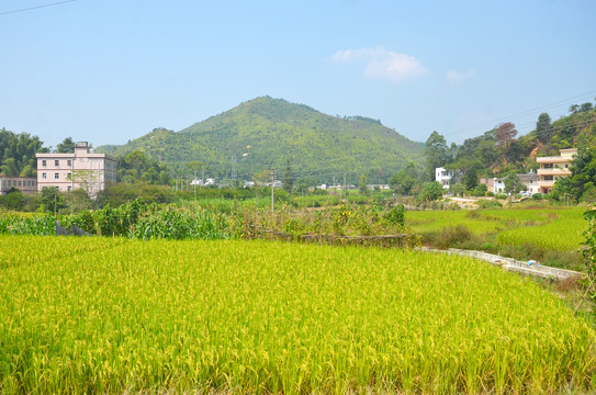 山区农村