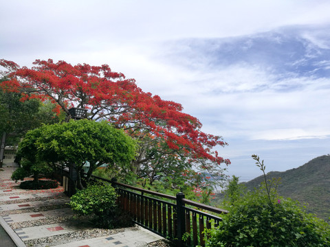 山顶花园