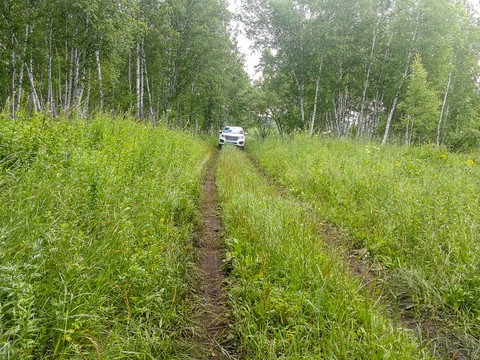 夏季森林草原道路