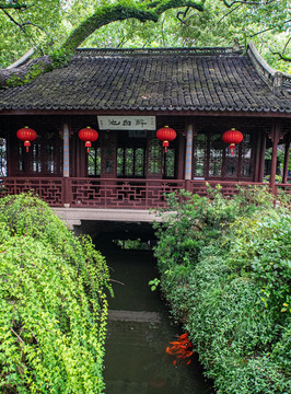 醉白池