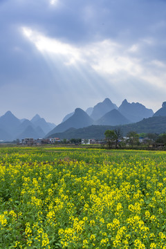 乡村风光