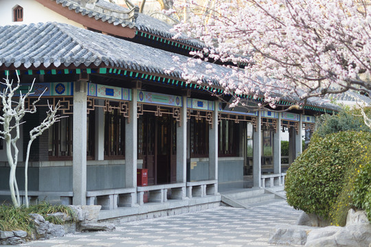 春暖花开