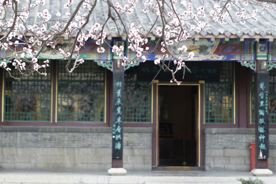 春暖花开