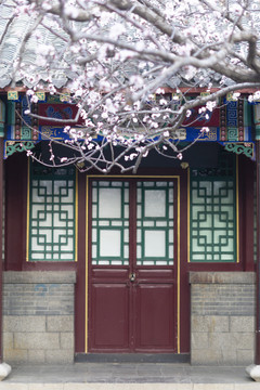 春暖花开