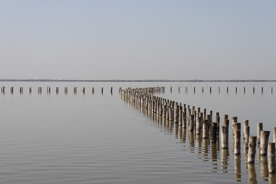 包头市小白河湿地公园