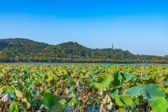 浙江杭州西湖风景区