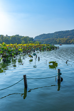 浙江杭州西湖风景区