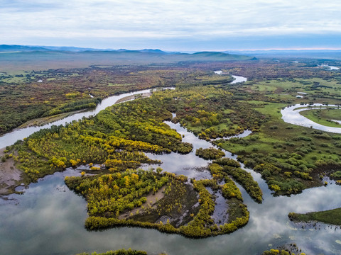 无人机航拍根河湿地秋色