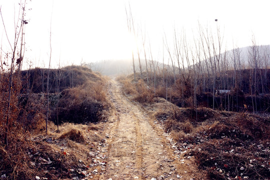 泥路土路