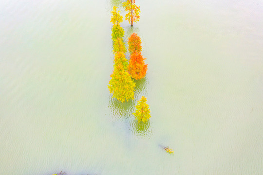 梦里水乡景区