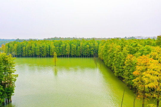 梦里水乡