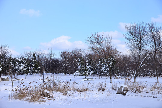 雪景