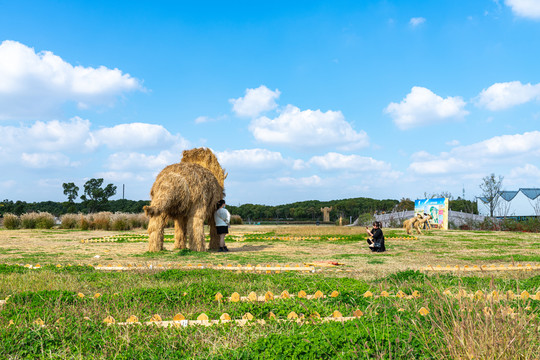 上海嘉北郊野公园稻草文化