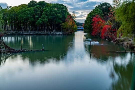 池塘秋色倒影