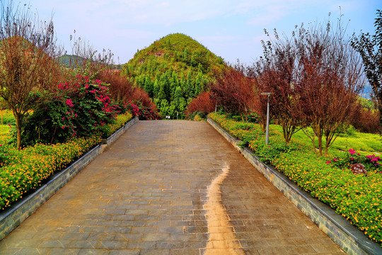 兴义贵州醇风景区