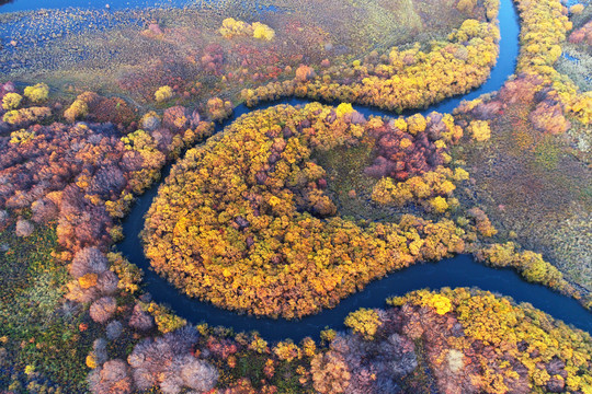 呼伦贝尔扎敦河湿地秋季河湾