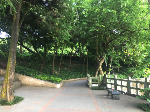 新会玉湖景区
