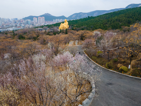 济南千佛山桃花盛开13