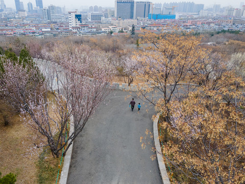 济南千佛山桃花盛开16