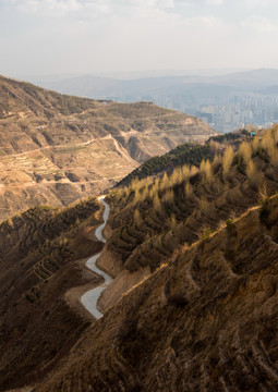 青海的山