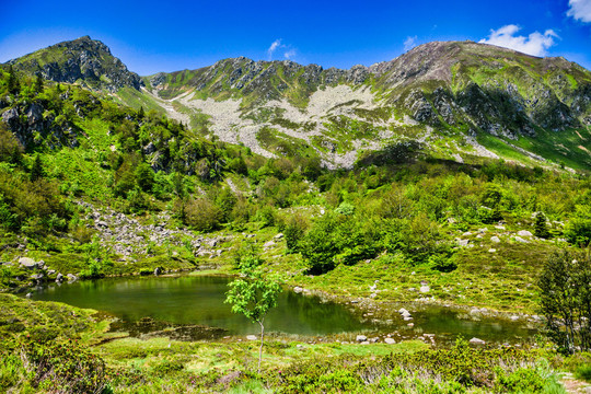 高山丘壑