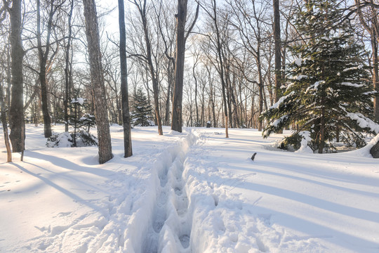 户外雪景