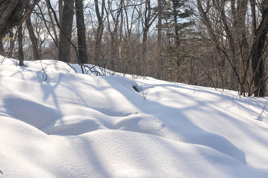 户外雪景