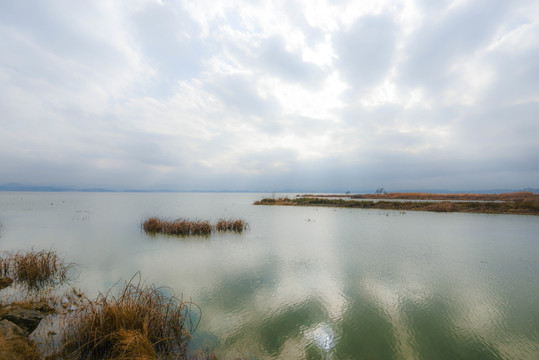 贵州毕节威宁草海湖湿地