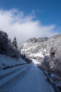 湖北神龙架冬季大雪雪山