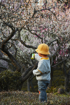 小朋友梅花林踏青