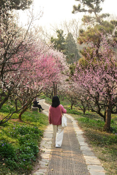 唯美花路