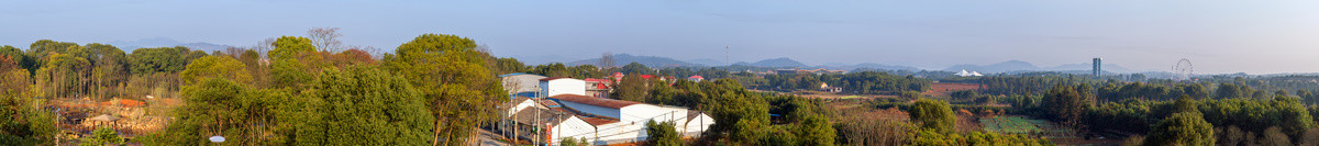 乡村清晨全景风光