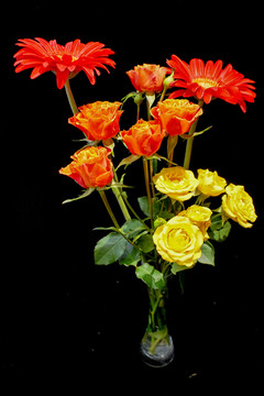 月季花