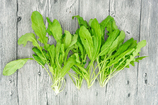 荠菜