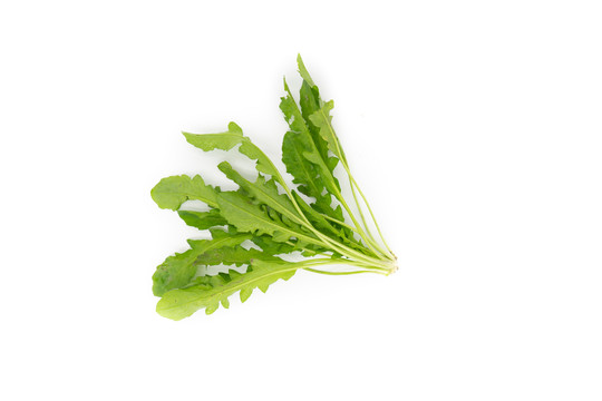荠菜