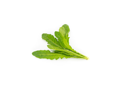 荠菜