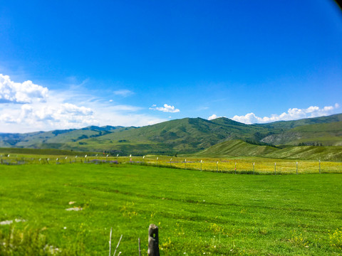 喀纳斯秋景