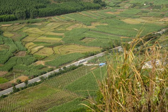 田园风光