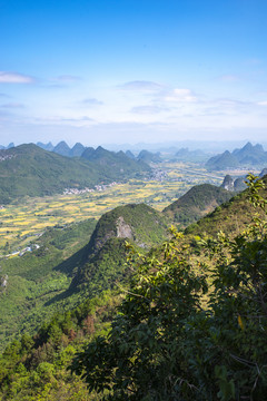 登高望远风景