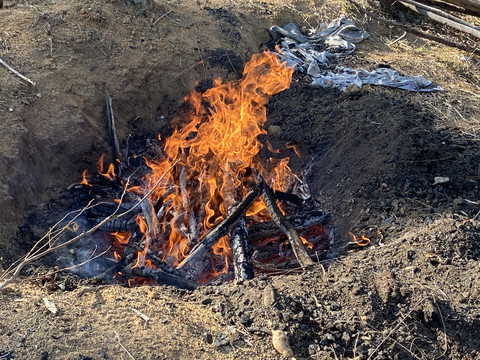 木材烧火