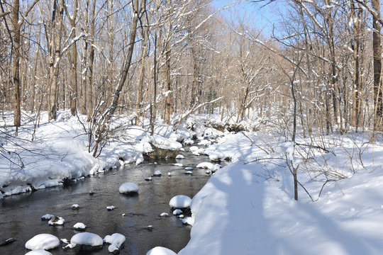 雪景